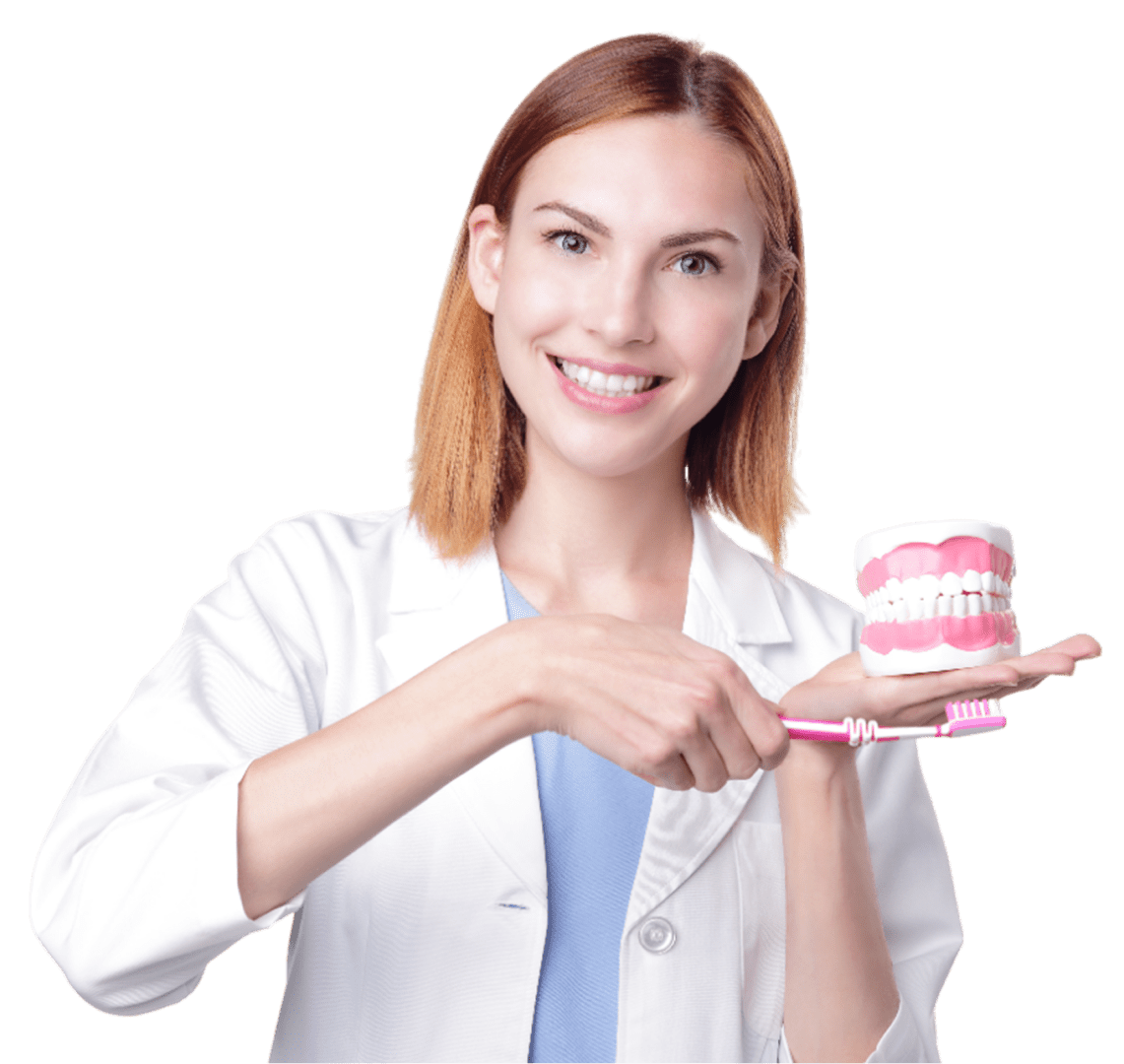 Person in a white coat smiling and holding a toothbrush, demonstrating brushing technique on a dental model.